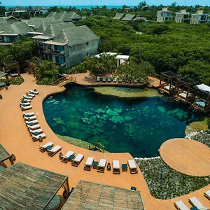 https://hotel-shibari-restaurant-cenote-club.allrivieramayahotels.com